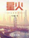 星火2003